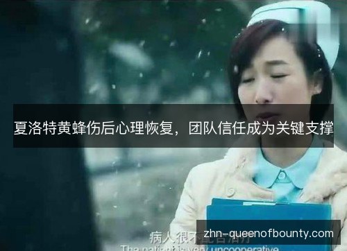 夏洛特黄蜂伤后心理恢复，团队信任成为关键支撑